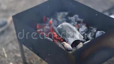 野餐烧烤用木炭的详情